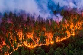 INCENDIO, CO-GOBIERNO, MOVILIZACIÓN Y TIERRAS RARAS